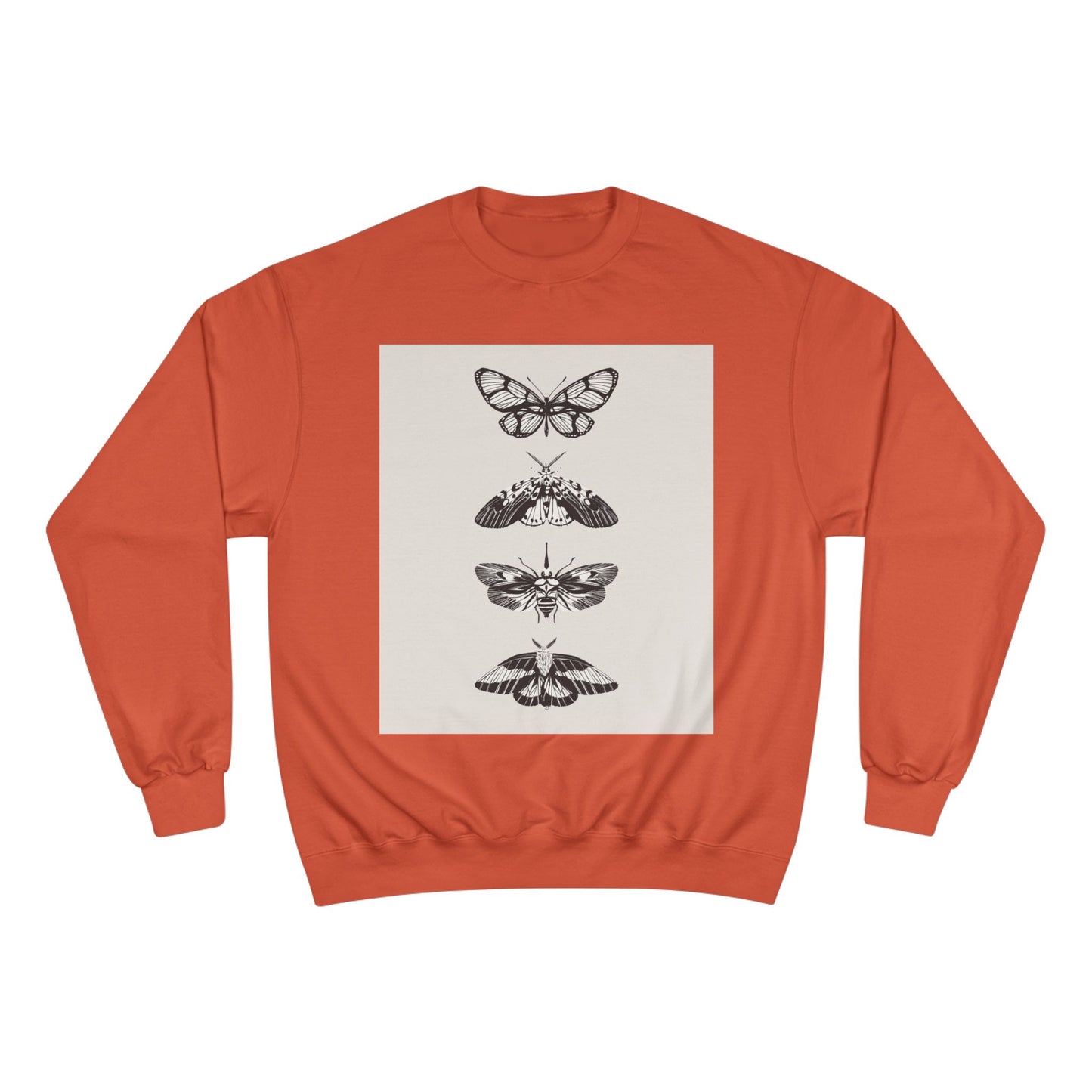 π¦ NOVO Butterfly Cozy