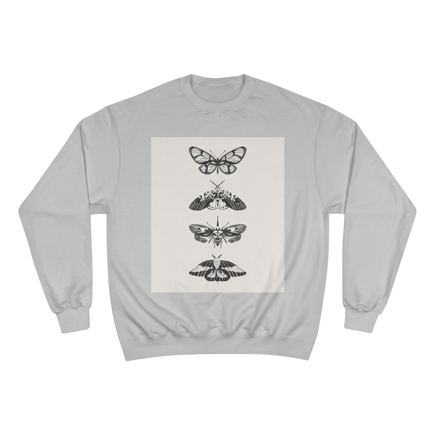 π¦ NOVO Butterfly Cozy