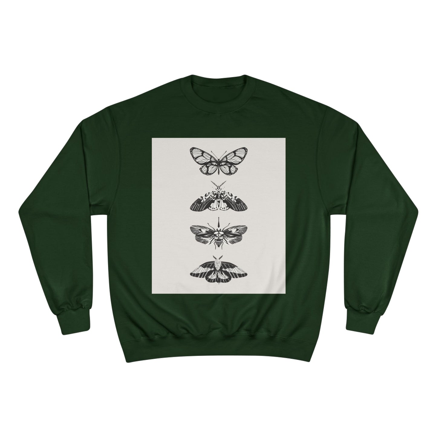 π¦ NOVO Butterfly Cozy