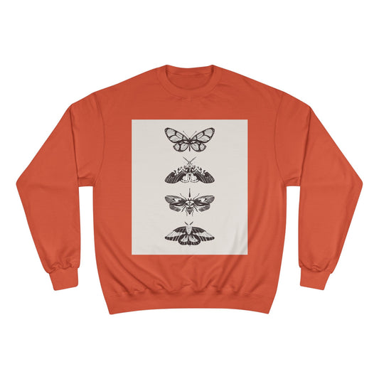 🦋 NOVO Butterfly Cozy